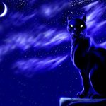 Чёрный кот в лунной ночи