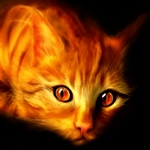 Огненно-рыжий кот с кисточками на ушах