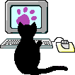 Кошка за компьютером