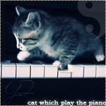 Кот, умеющий играть на пианино