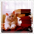 Кот и книги