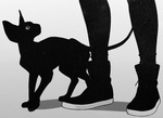Человеческие ноги и кошка породы канадский сфинкс