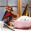 Кошки в праздничных колпаках, рыжий кот пытается снять кр...