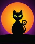 Черная кошка на фоне солнца
