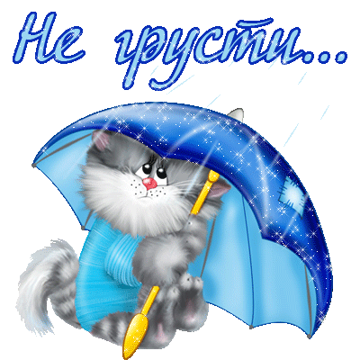 Не грусти ... Серый котенок с голубым зонтиком
