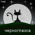 Чёрная кошка сидит на фоне полной луны и мигает глазами (...