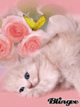 Милый котенок лежит около цветов в розочках с желтой бабо...