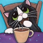 Кот пьёт чай