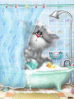 Киса принимает ванну!
