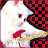 Котик-гитарист