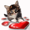 Котенок играет с сердечком
