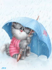 Котик под проливным дождем.А.Долотов