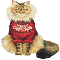 Кот в праздничной новогодней одежде