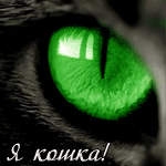 Зелёный кошачий глаз (я кошка!)