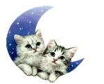 Два котёнка 'на луне'