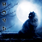 Черная кошка на фоне полной луны и надпись ночь, автор mo...