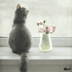 Кошка сидит на подоконнике, рядом стоит ваза с розами
