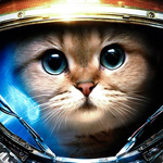 Кот в космическом скафандре