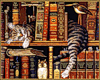 Кот - книголюб