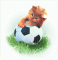 Болельщик котенок с мячом