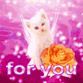 Кошка и роза (for you)
