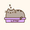 Котик спит (litter)