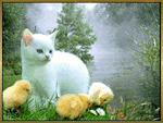 Кошка с цыплятами на берегу реки