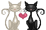 Любовь! Кошечка и котик