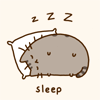 Кот спит (sleep)