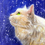 Кошка смотрит в верх, идет снег