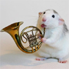 Хомяк играет на трубе