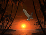 Орёл над морём во время заката