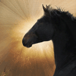 Рассвет встречает конь