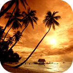 Закат на острове у пальм