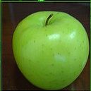  Зелёное <b>яблоко</b> 