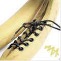 Шнурованный банан