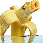 Банано - рыба
