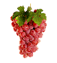 Красивые грозди винограда