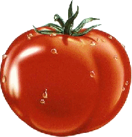 Красный-красный помидор
