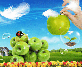 Урожай яблок с бабочкой