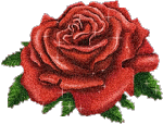 Красная роза объемная