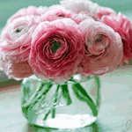 Букет нежно-розовых пионов в стеклянной банке с водой