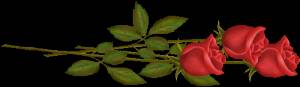  <b>Три</b> красных розы 