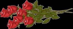 7 красивых красных роз с бликами лежат