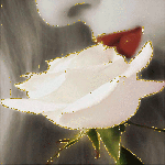 Белая роза,красные губы