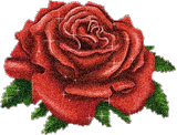  <b>Темно</b>-красная роза 