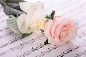 Белая и розовая розы лежат на нотах