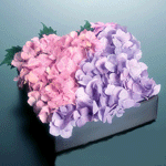 Букет из розовых и фиолетовых цветов