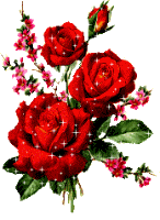  Красные розы <b>прекрасны</b>! 