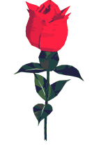  <b>Красивая</b> красная роза. Анимация 